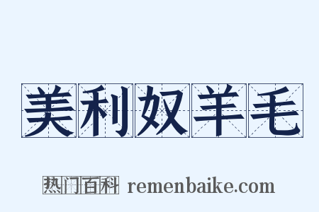美利奴羊毛是什么意思的图片